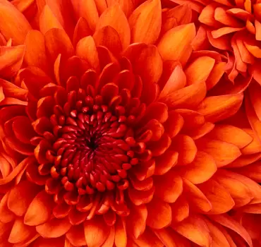 Nagyformátumú nyomtatás: Tábla, tekercs, UV, latex